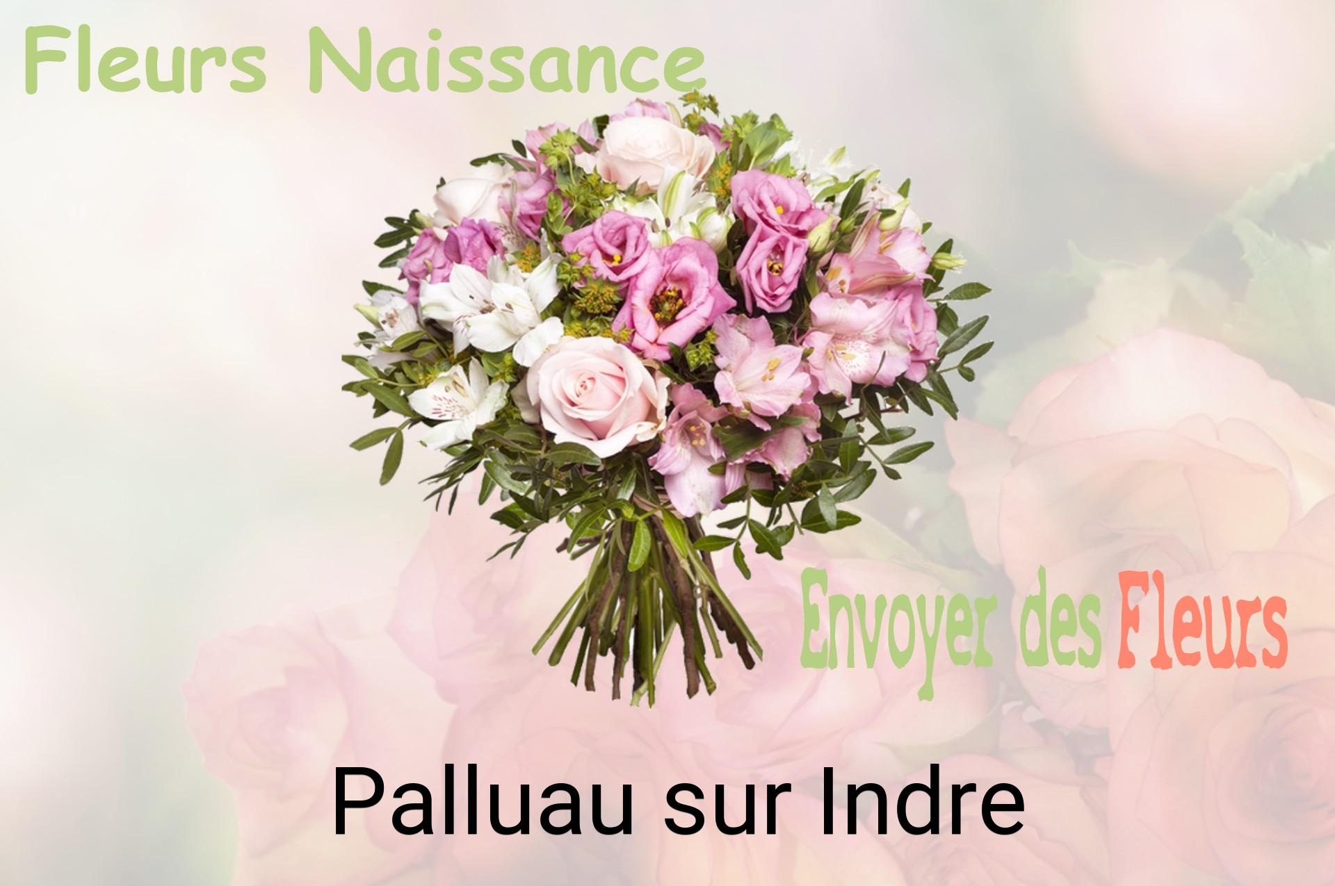 Bouquet de fleurs de naissance livré à Palluau-sur-Indre