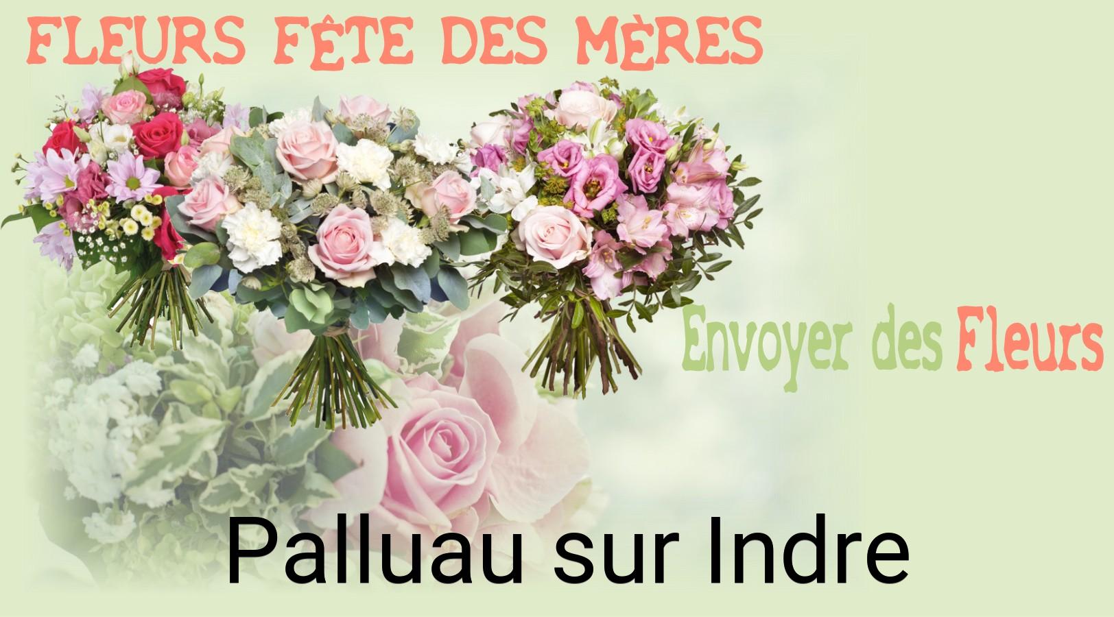 Bouquet de Fête des Mères livré à Palluau-sur-Indre